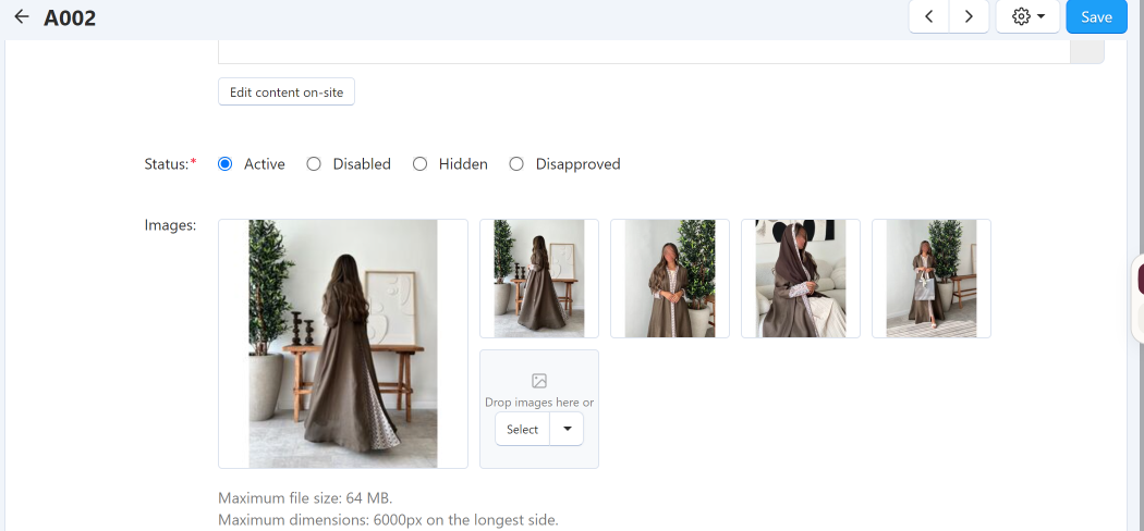 Images Section